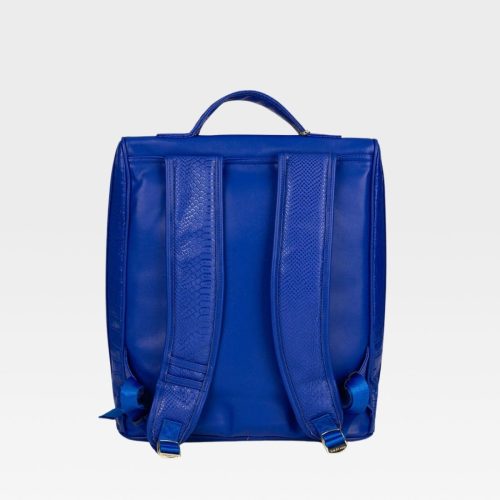 apollo 2 travel set in royal blue set totecarry 5